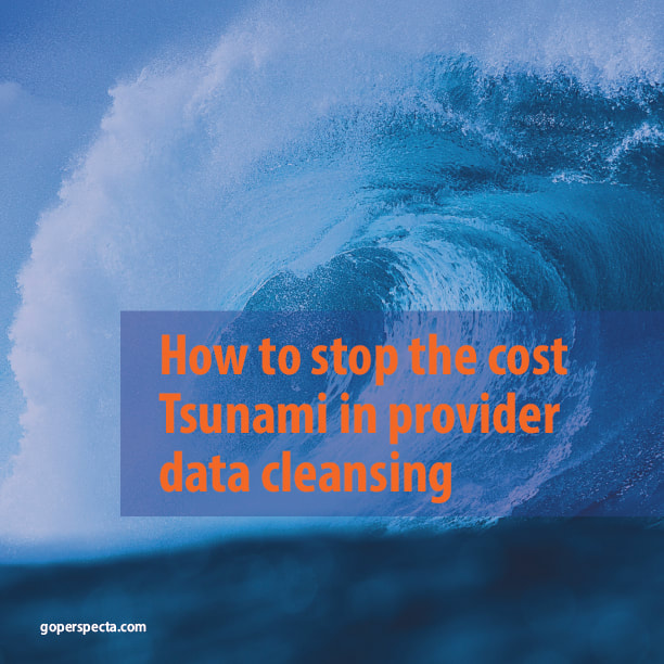 provider data cleansing ebook