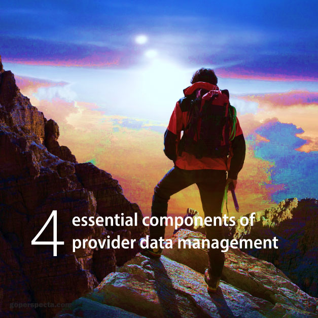 Provider data management ebook