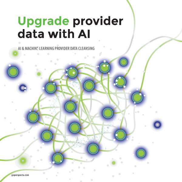 Provider Data Cleanse with AI