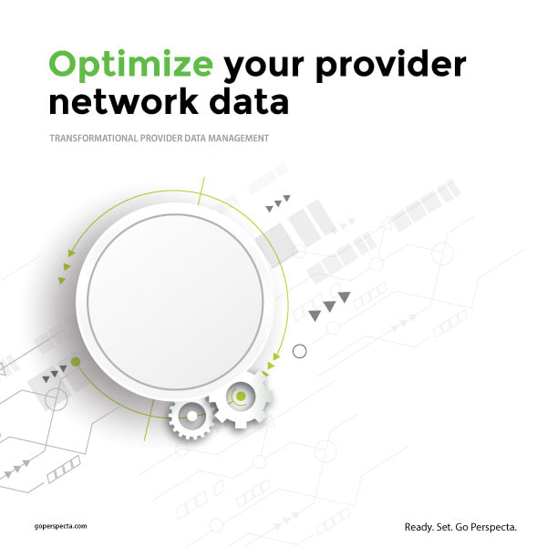 Provider data management to optimize provider networks 